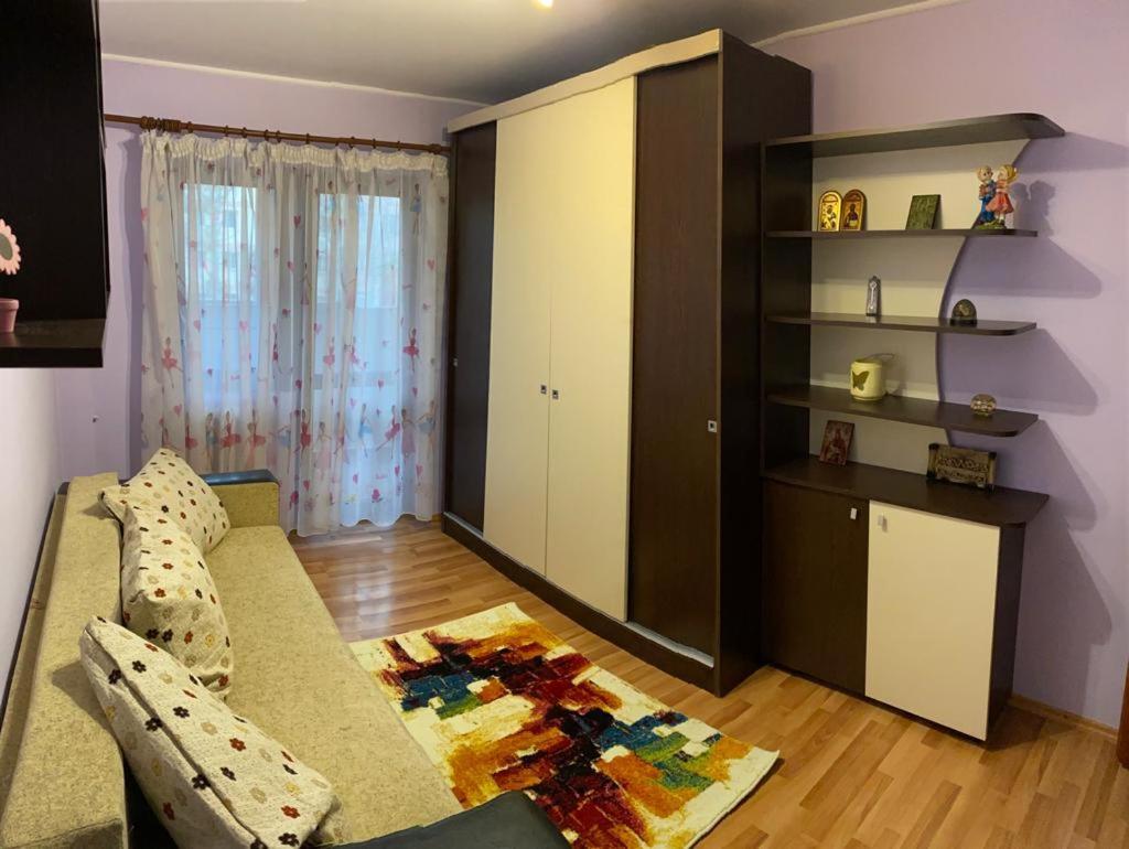 Ferienwohnung Zorilor Suceava Exterior foto