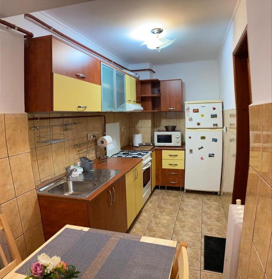 Ferienwohnung Zorilor Suceava Exterior foto